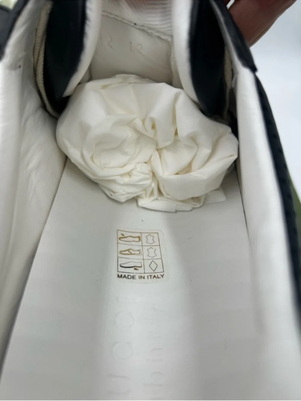 Gucci low top